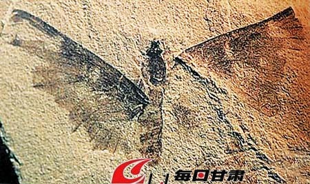 ���෢��1����ǰ������ʯ �����·����(ͼ)