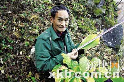 ������ҵ����Ա�ٷ��Ļ��ֳ� ��Ҷ֮�ս⿪(ͼ)