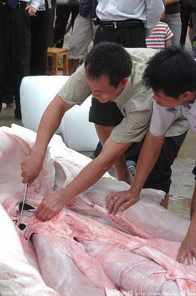 ���㱻���ֲ��̽�������ȫ����(��ͼ)