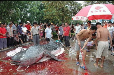 ���㱻���ֲ��̽�������ȫ����(��ͼ)