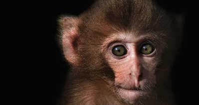 ������¡⨺��ѳ��� ����¡�ˡ����ж�Զ(ͼ)