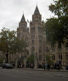 1亿年前恐龙化石存放113年竟无人问津(图) 1亿年前恐龙化石存放113年竟无人问津(图)