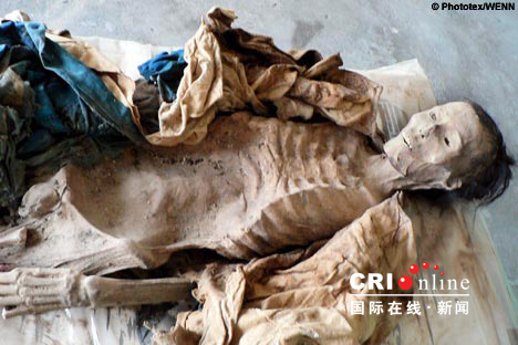 �½����ֱ������ľ���� ������Ȼ�����ɼ�