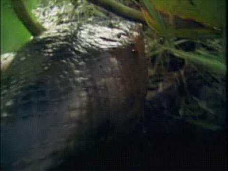 ������Ȥ������ѷ����ˮ�н���ȫ����(��ͼ)