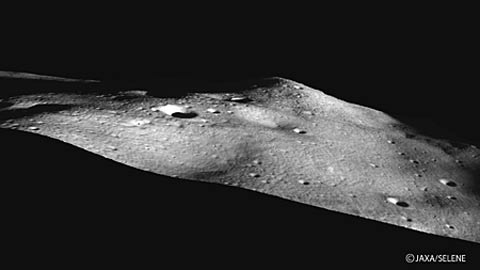 �ձ�����Ů�����ǳ��Զ������������۲�(ͼ)