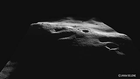 �ձ�����Ů�����ǳ��Զ������������۲�(ͼ)