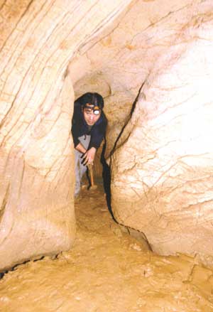 ���췢�����ܶ� �׹Ƕѻ�����ʧ����(ͼ)