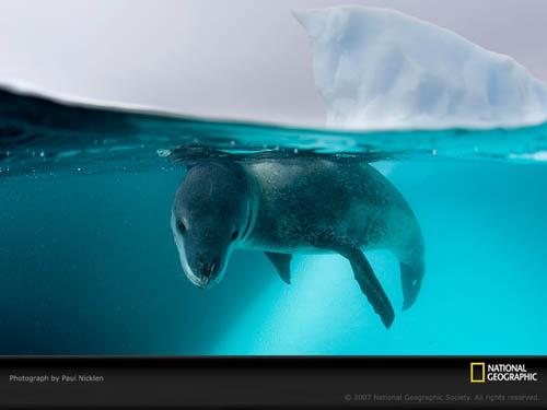 �������ҵ���ͼƬ��ѡ�����ؾ���(��ͼ)