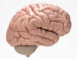 �Ŀ�ѧ�ҽ����˴Ź����ƽ���Ŵ���֮��