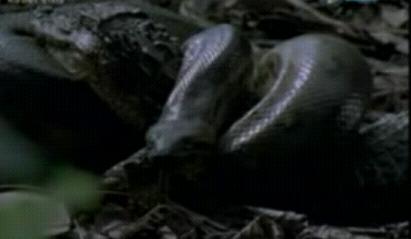 ����ѷ���־����������� ��������(��ͼ)