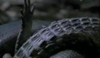 ����ѷ���־����������� ��������(��ͼ)