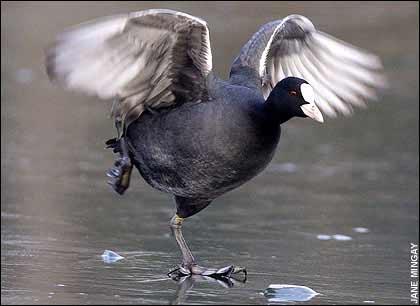 �����̿��������������(��ͼ)