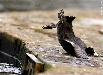 �����̿��������������(��ͼ)