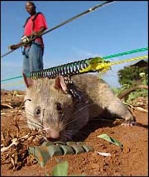 ����������ѵ����̽����ס������(ͼ)