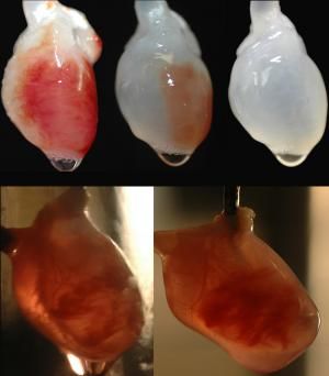 �����������ࣺͨ��������������֮·