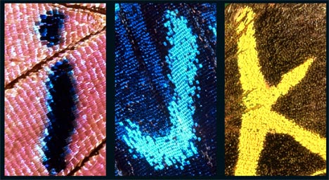 �����������Ȼ�����С�26����ĸ(��ͼ)