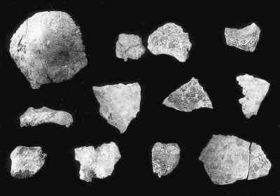 我国发现新古人类头盖骨化石 早于山顶洞人 我国发现新古人类头盖骨化石 早于山顶洞人