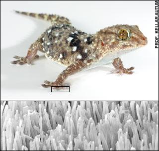 ���˶��ܡ������߱ڡ� �����ơ�֩�������ס�