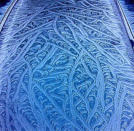 Ӣ��˪��ҹ�־�������ĳ�������