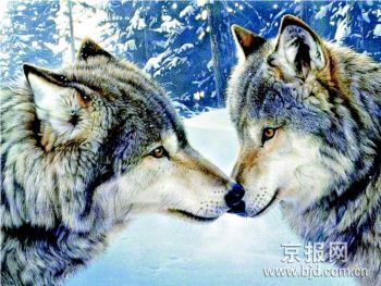 30��ǰ������һ����ʵ�����Ƿ���(��ͼ)