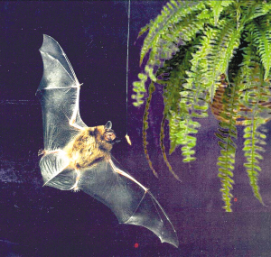 Ӣä��ѧ�������û�����λ ����������