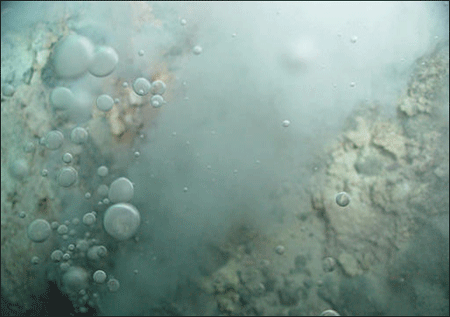 �������ֺ��׺��̴� 400����Ȫ��ӿ����