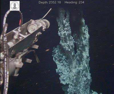 �������ֺ��׺��̴� 400����Ȫ��ӿ����