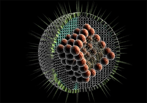 ����ѧ���״���X�������²����ľ�����д(ͼ)