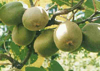 ���ר���о�������⨺��ҿɻ������Ա���