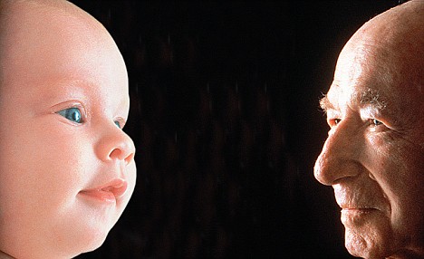 ����˥��ʱ�����35����ֳ��������(��ͼ)