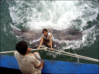 �������񲶻񳬼���ħ���㡱 �ش�3000��(ͼ)