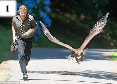 ��βӥ�������� �����ಶ׽��Ϸ���治��(ͼ)