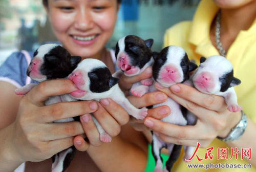 ����5��Ȯ�������ա����� �ø�����������