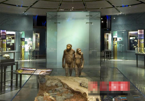 �ִ����˹ھ��˶��ɼ�Ҫ��Ѩ������ѷɫ�ö�