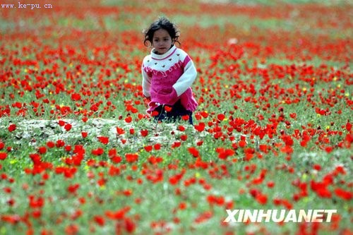 ��ת���򣺰������������� �羰�续(��ͼ)