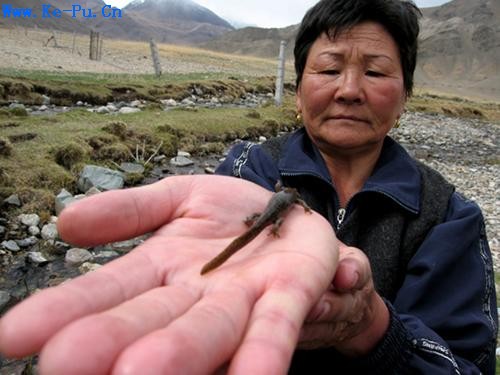 �½�����������Σ�ʯ����(��ͼ)