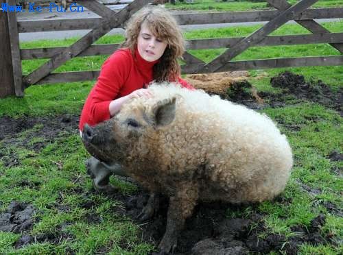 �Ƽ�ʱ��_Ӣ������������ë��ȫ������ë(��ͼ)