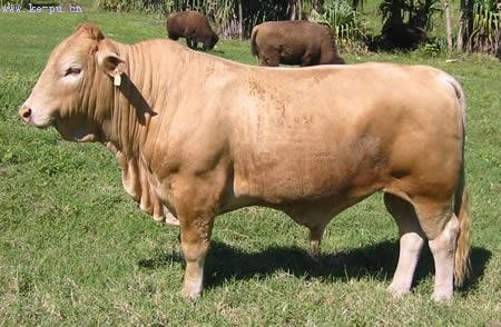 ʮ���������ӽ����������¿��Ѫ��(ͼ)