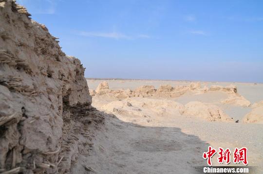 唐代的戍堡遗址，在墙面上就可以看到裸露于墙外的红柳枝条。　马新龙　摄