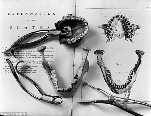19世纪的医科学生利用这些骨骼了解人体疾病