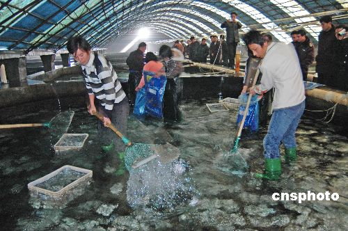 1��������1��������ҵ��:��ҩ�¼��ö౦������