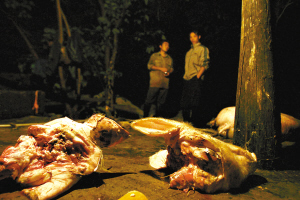 ����˽�׵㲡������ר����ѧ�Ȼ���ʳ��