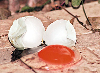 ������ʳƷ��ȫ�¼����²�һ���һ��