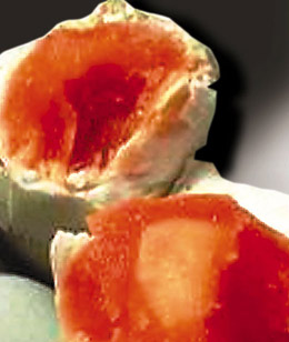 ������ʳƷ��ȫ�¼����²�һ���һ��