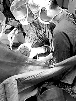 ��������Ա������������ֲ�����������ڰ䲼