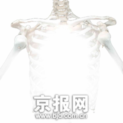 ר�ң�����ժȡ���ٲ���Ϊ���з������Ͽ�