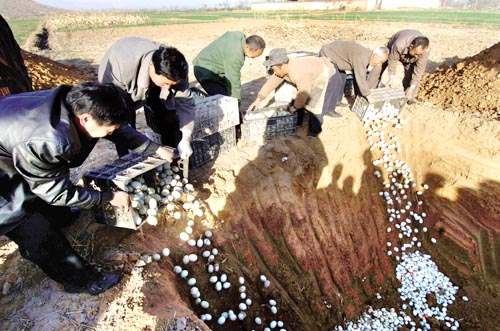 �ӱ�ƽɽ��ɱ5100ֻ����ʳ���յ����Ѽ��