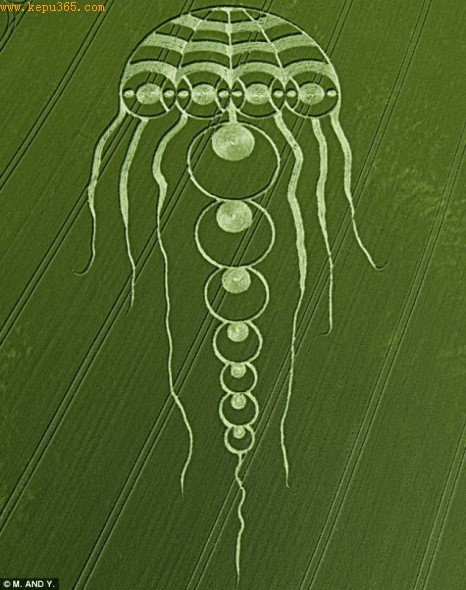 去年牛津出现一个600英尺（183米）大的水母麦田怪圈，它是世界上第一个水母状麦田怪圈。