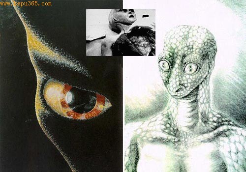 UFO专家称 30多具外星人遗体秘密保存于美国各处
