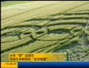 韩国出现DNA形状花纹“麦田怪圈视频